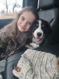 Bernese Mountain Dog and child